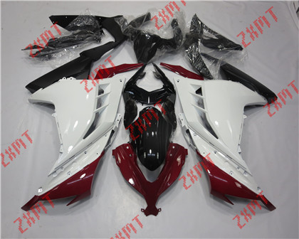 Ninja 300R 2013