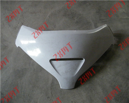Gold Wing  Parts nose