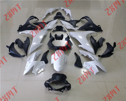 GSX-R250    2017
